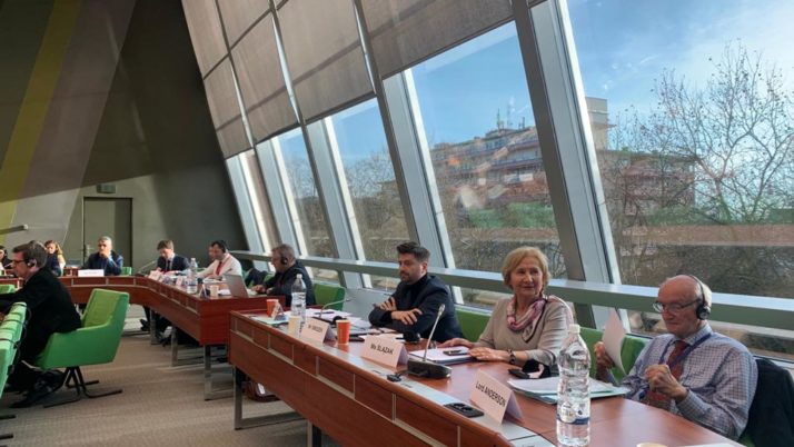 Posiedzenie Komisji d/s Prawnych i Praw Człowieka Rady Europy (CoE) w sprawie zasad i gwarancji dla prawników (adwokatów, radców prawnych)